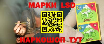 ПСИЛОЦИБИНОВЫЕ ГРИБЫ Кулебаки