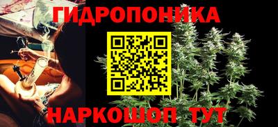 ПСИЛОЦИБИНОВЫЕ ГРИБЫ Кулебаки