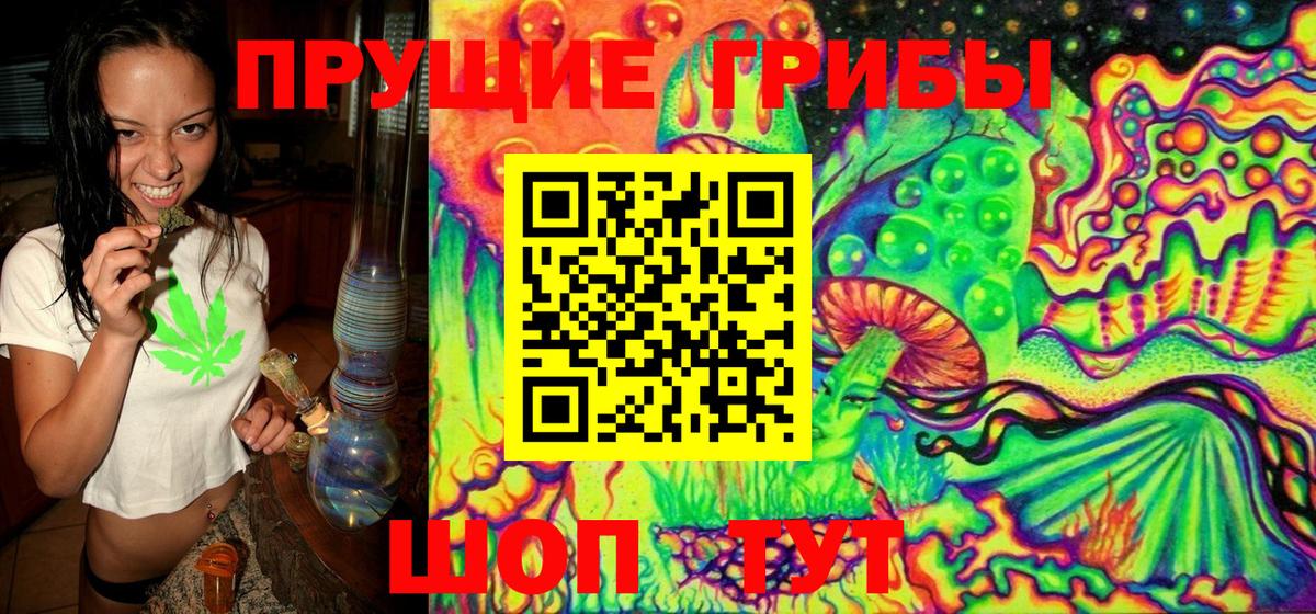 Галлюциногенные грибы MAGIC MUSHROOMS Кольчугино