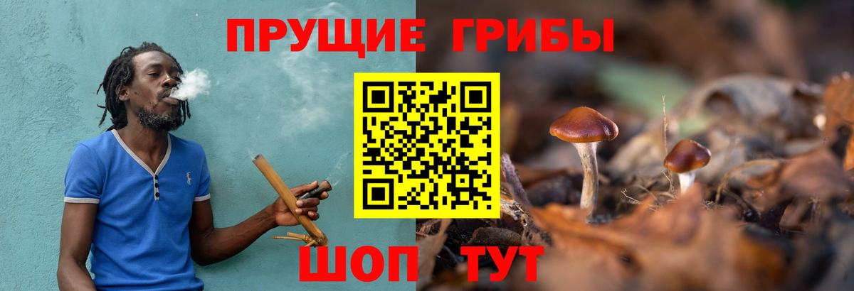 Галлюциногенные грибы Magic Shrooms  Галлюциногенные грибы прущие грибы  Вход с VPN  Кольчугино 